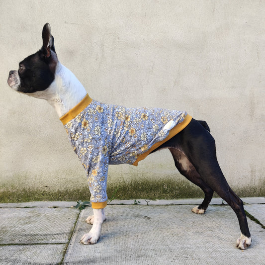 Gelsomina Cotton T-Shirts - Everyday Wear for Your Pooches