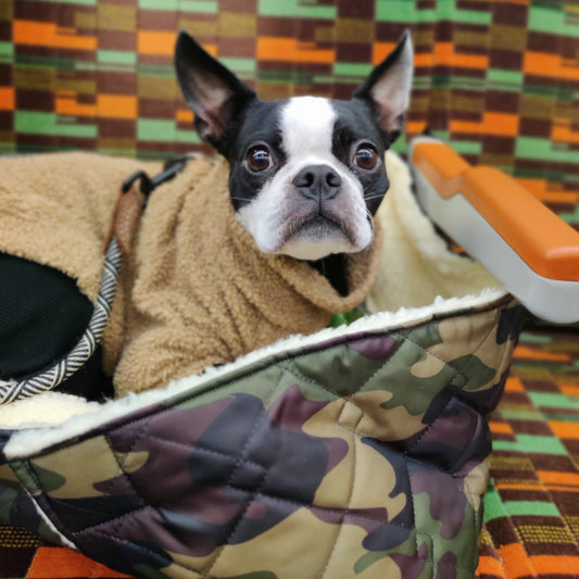 Doggo's Camo Travel Blanket