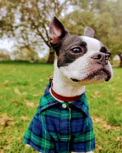 Elliot Cotton 100% Flannel Shirts / **Some Sizes are Made to Order