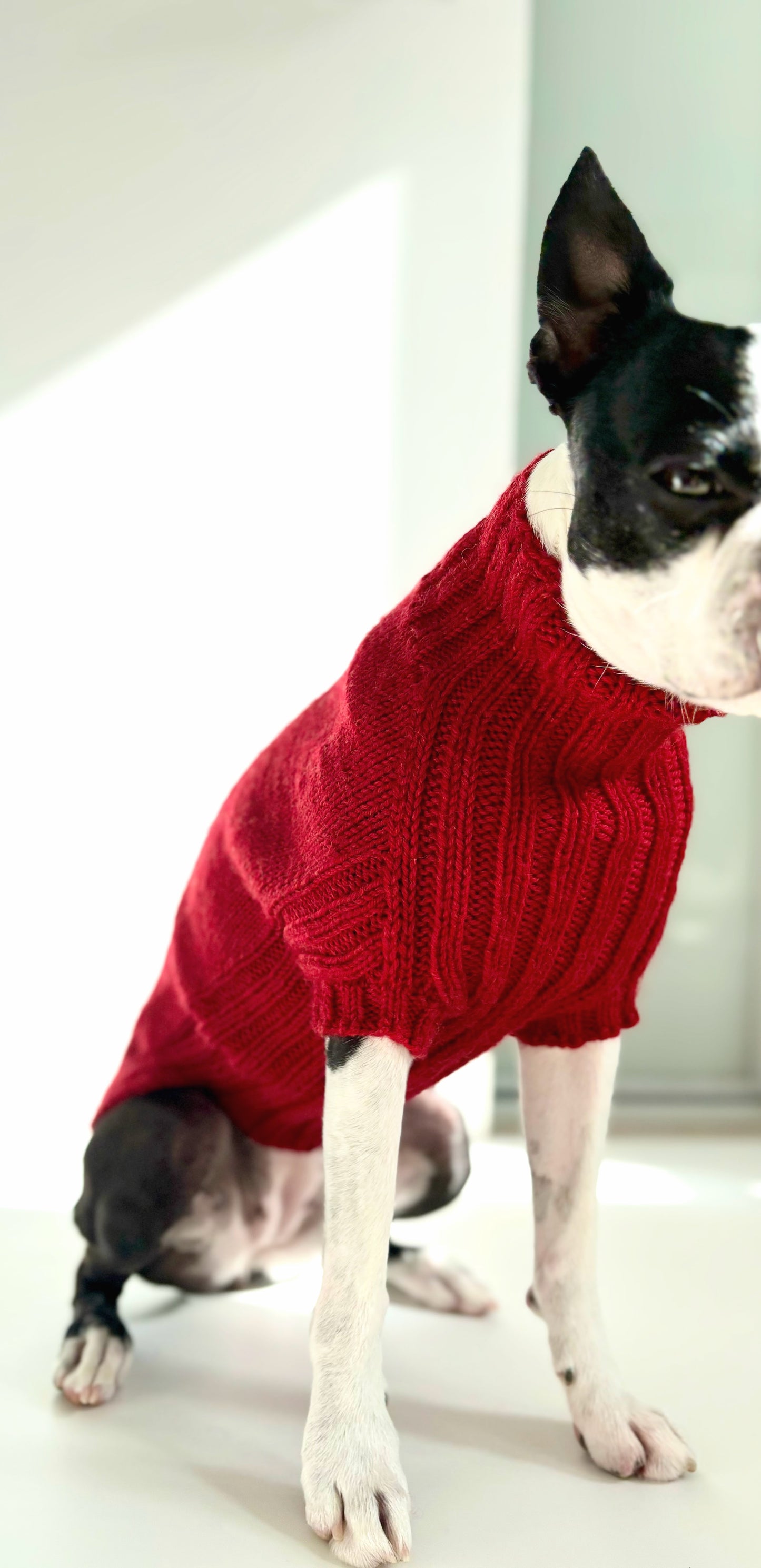 Pigmon Sweater - Christmas Red