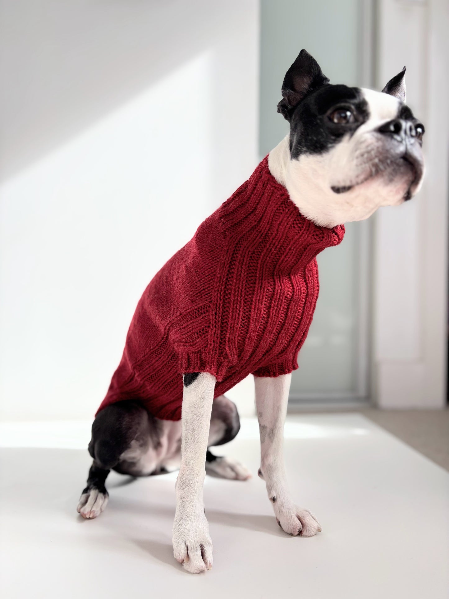 Pigmon Sweater - Christmas Red