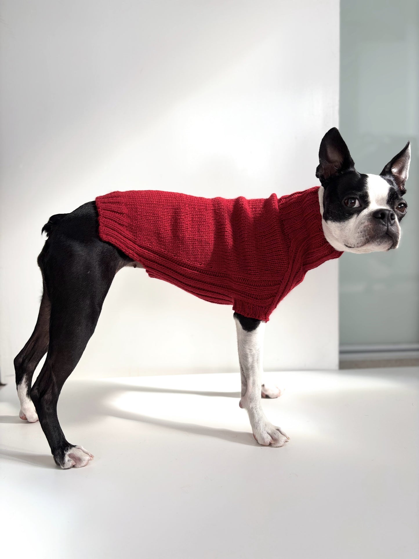 Pigmon Sweater - Christmas Red