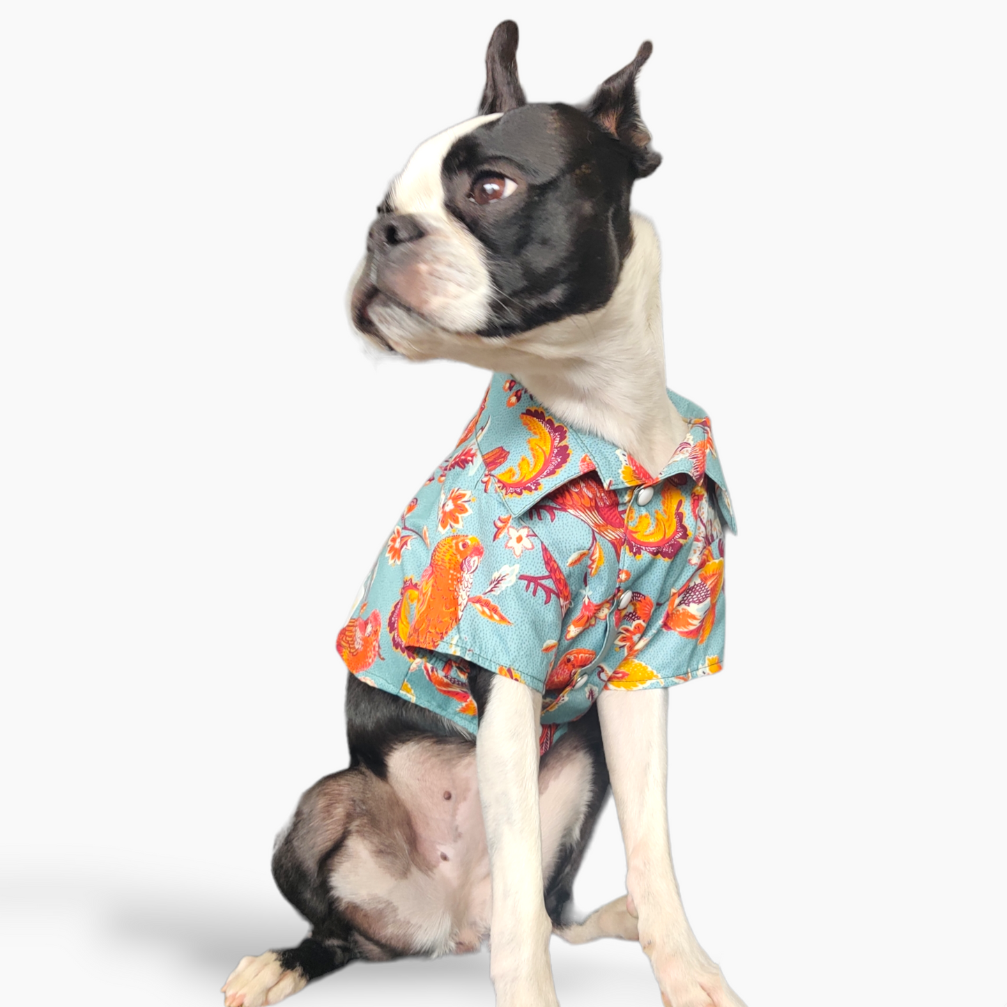 Kai Cotton 100% Aloha Shirts - Organic Cotton