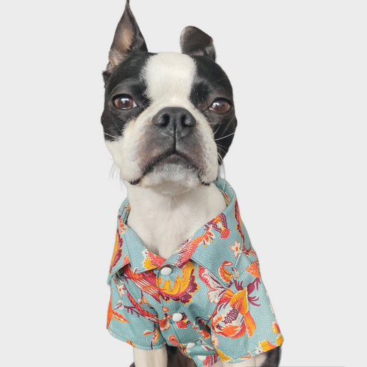 Kai Cotton 100% Aloha Shirts - Organic Cotton