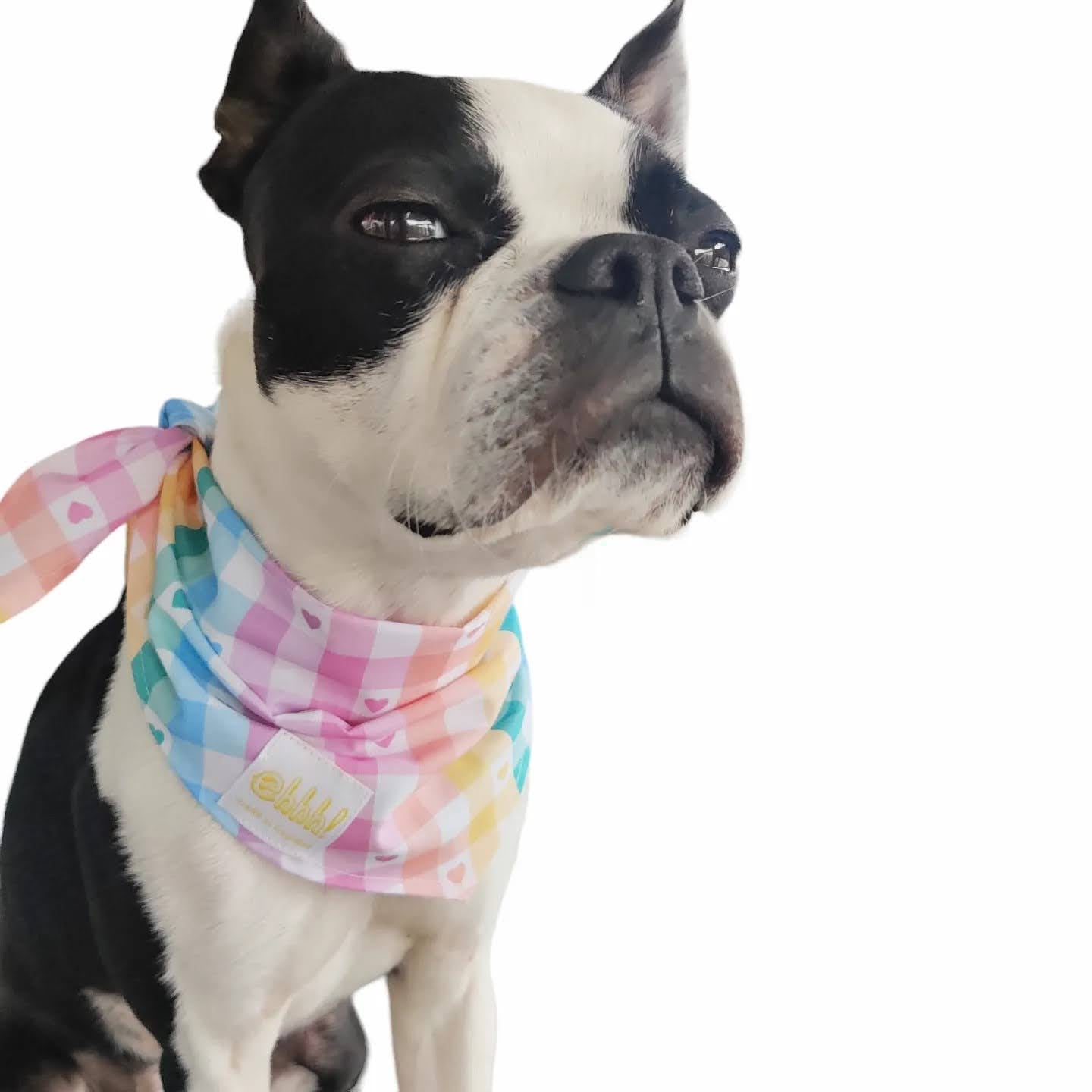 Doggo's Cotton 100% Bandana - Retro Summer Table / I Pastel Heart U